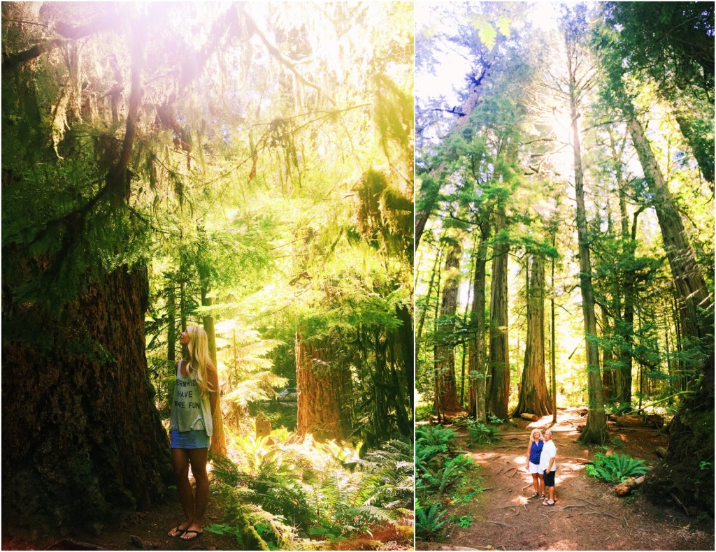 Cathedral Grove Vancouver Island