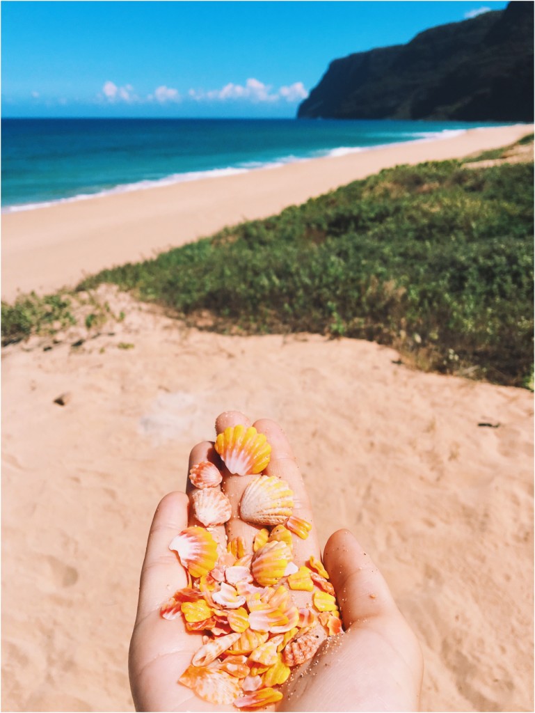 sunrise shells at polihale beach kauai photographer