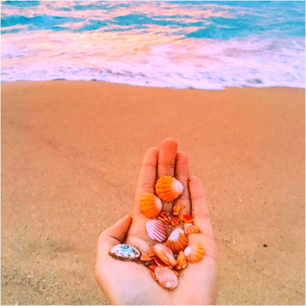 sunrise shells on kauai hawaii