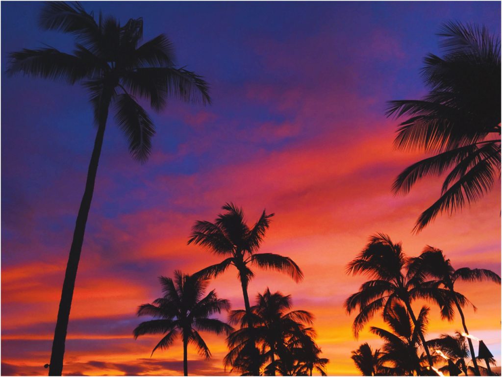 12 things you must do on kauai - honu bar sunset