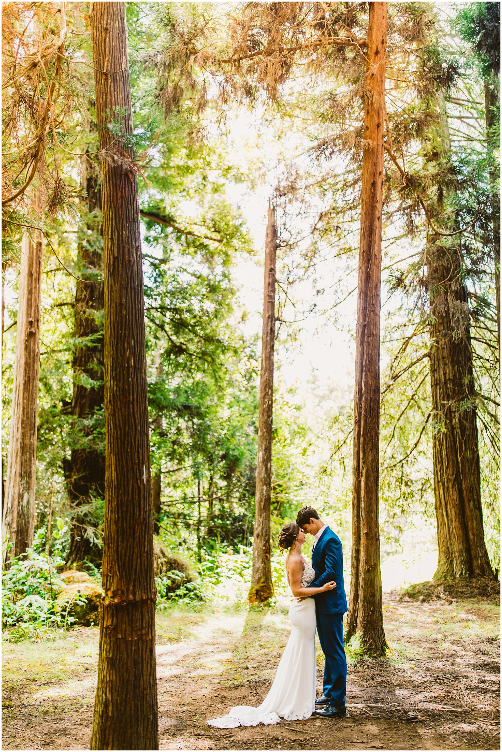 Kauai elopement bride and groom in the forest photo by meg bradyhouse